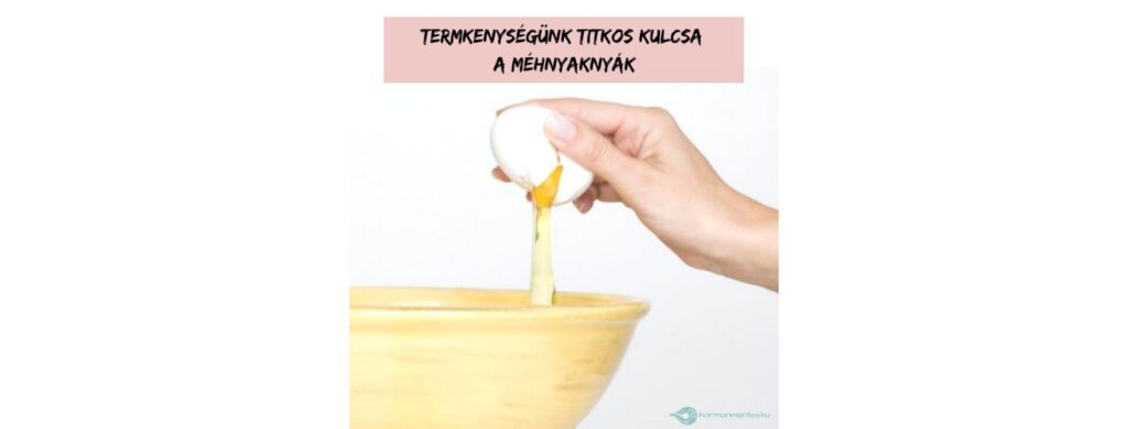 Mi ez a ragacsos, tojásfehérjés hüvelyváladék? – Ciklusnaplók 11.