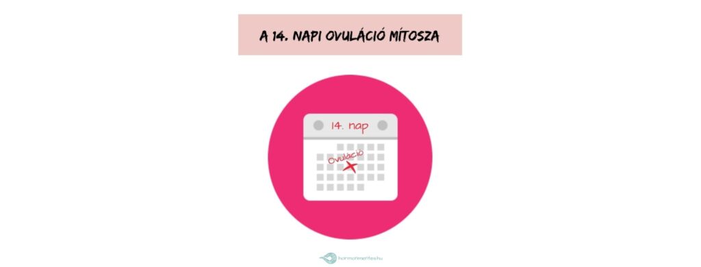A 14. nap mítosza – Ciklusnaplók 14.