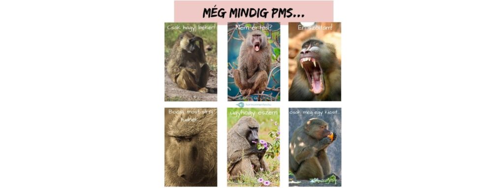 Helló, PMS! – Ciklusnaplók 19.